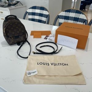 Louis Vuitton Palm Springs mini backpack